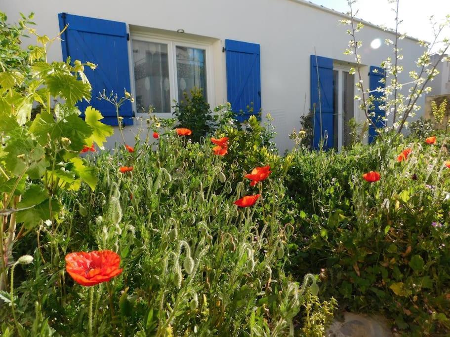 Maisonnette De Jardin Marseille Exteriér fotografie