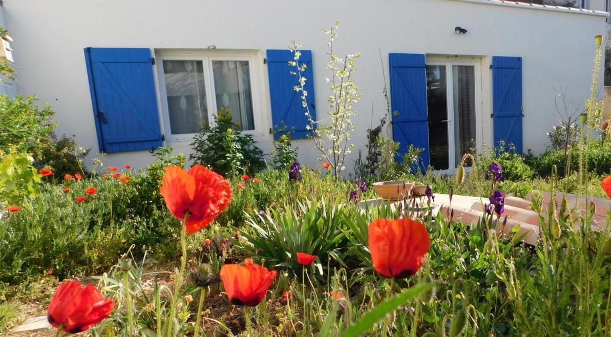 Maisonnette De Jardin Marseille Exteriér fotografie