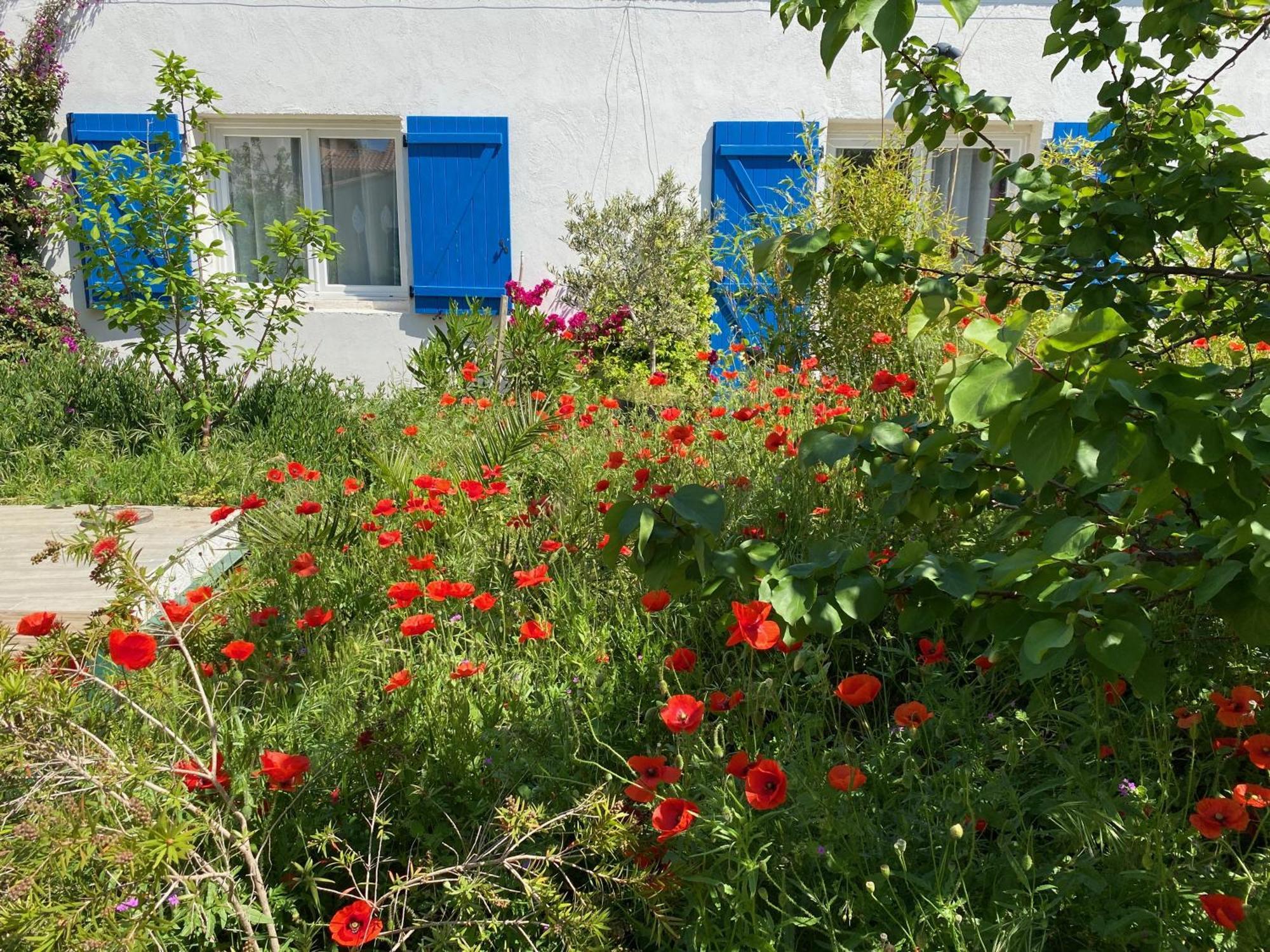 Maisonnette De Jardin Marseille Exteriér fotografie
